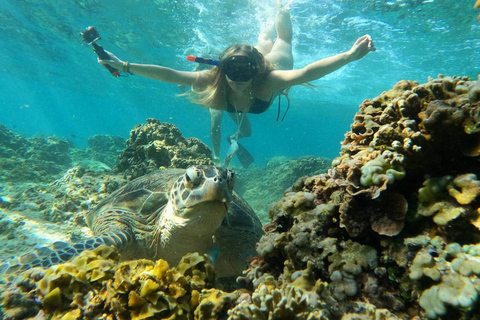 Gili Trawangan Snorkeling en groupe/en public 3 Gili&#039;s Island