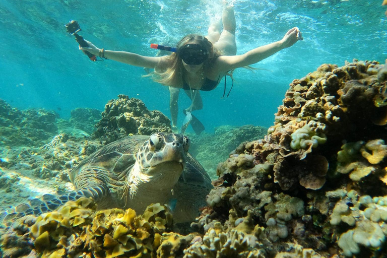 Gili Trawangan Group/Public Snorkeling 3 Wyspa Gili