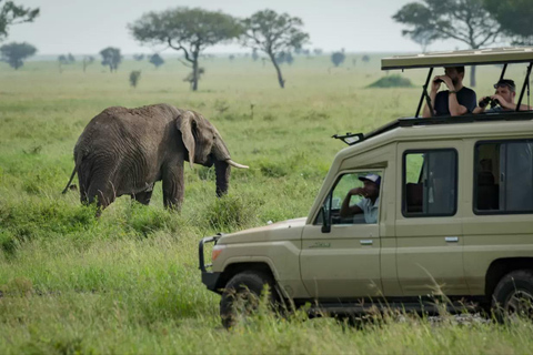 6-dniowe safari w Tarangire, Serengeti i kraterze Ngorongoro