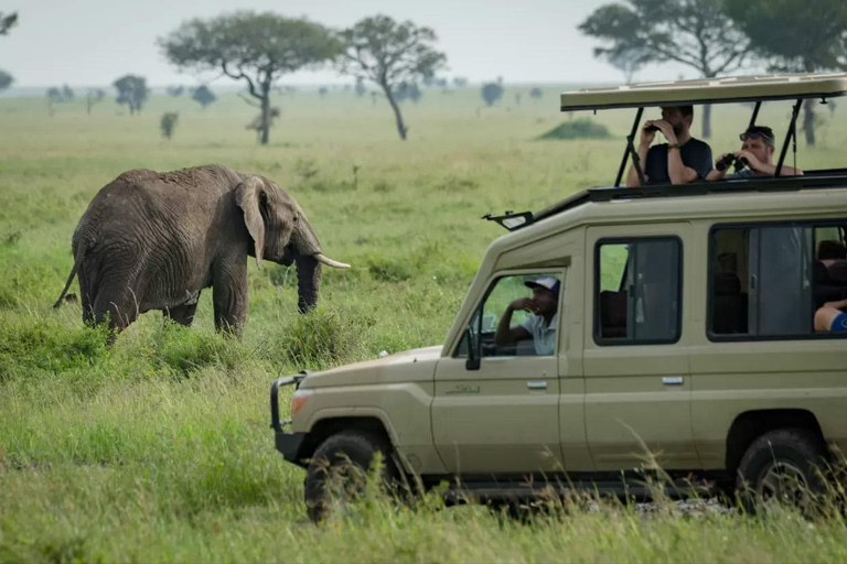 6-dniowe safari w Tarangire, Serengeti i kraterze Ngorongoro