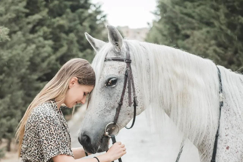 巴库骑马体验：邂逅世界名驹标准套餐