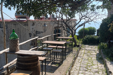 Z Positano: Wycieczka cytrynowa z degustacją i transferem