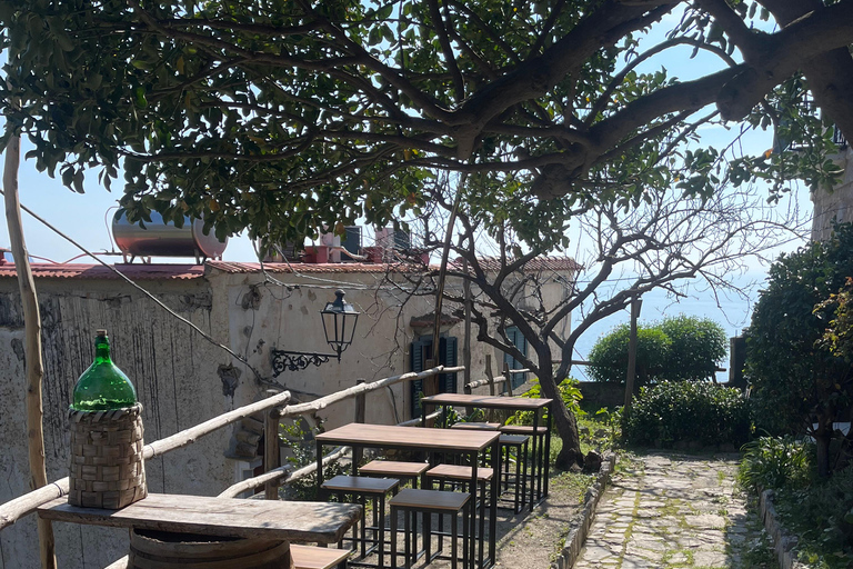 Z Positano: Wycieczka cytrynowa z degustacją i transferem