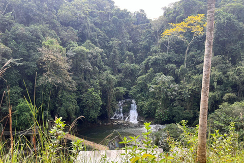 Depuis Medellín : expérience en 4x4 jusqu&#039;aux cascades de la rivière Melcocho