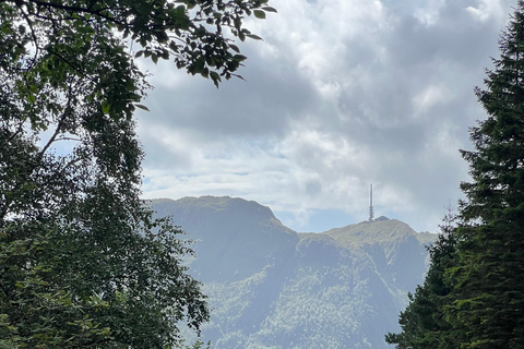 Bergen: Guided Nature Walk with Optional Floating Sauna Espanol