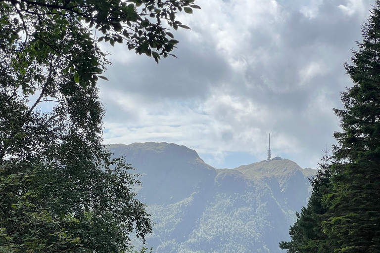 Bergen: Guided Nature Walk with Optional Floating Sauna Espanol