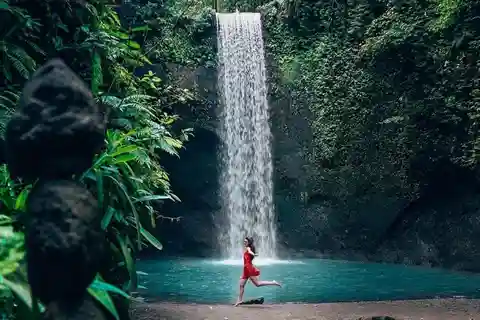 Bali: Waterfall and Rice Terrace Private Day Trip