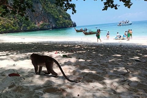 Phi Phi Island Övernattningspaket 2dagar,1natt och aktiviteter