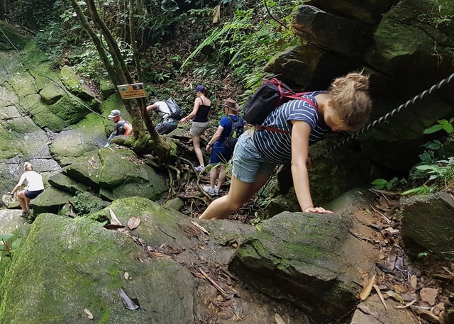 From Hue: Bach Ma National Park Trekking Day Trip