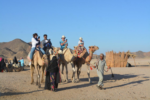 Aventura de safári de jipe com passeio de camelo, jantar e showServiço de busca no hotel em Hurghada