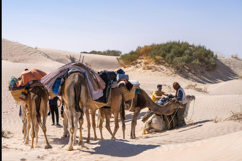 A different way to tour Djerba and desert in 3 days