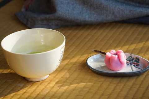 Tour della meditazione e dei giardini zen di Kyoto in un tempio zen con pranzo