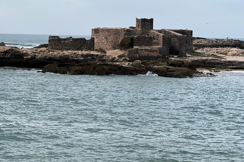 From Marrakech: Essaouira Day Trip with Beach & Medina Essaouira Small Group Day Trip