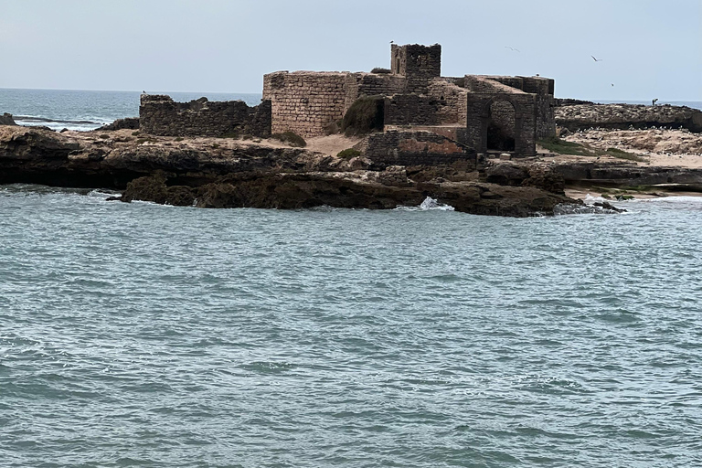 From Marrakech: Essaouira Day Trip with Beach & Medina Essaouira Small Group Day Trip