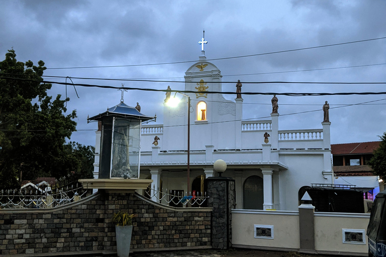 Negombo Life, Lagoon & Hidden Gems Tour with a Local Friend