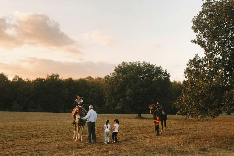 Sedona: Golden Hour Horseback Ride in Vineyard Landscape