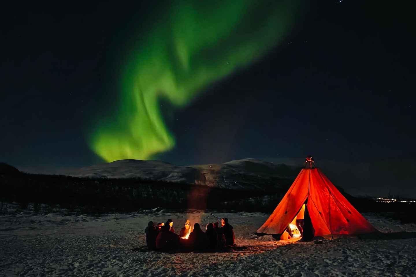 Excursión Auroras Boreales en Abisko con Cachorros de Husky