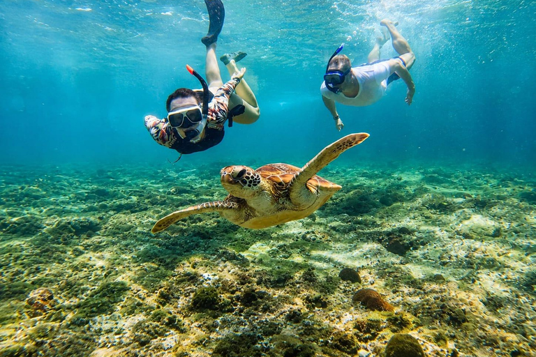 Nusa Penida: Manta Point & Turtle Point Snorkeling Sharing Manta Point Trip with Gamat Bay & Turtle Point