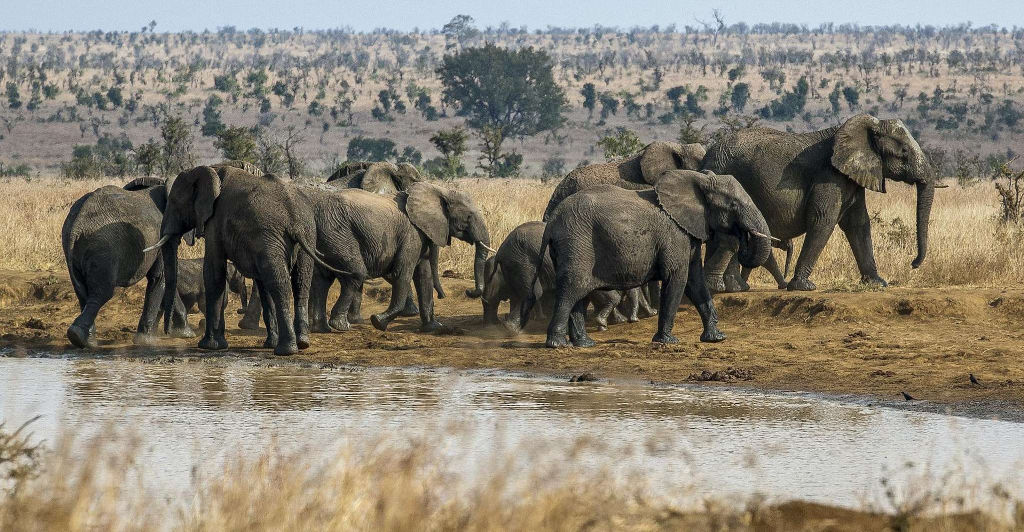 Güney Afrika'dan Victoria Falls'a 12 Günlük Macera - Hizvo