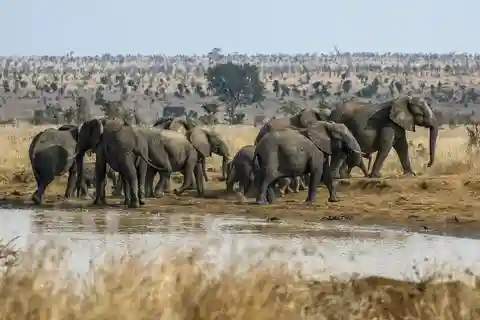 Sydafrika till Victoria Falls 12 dagars äventyr