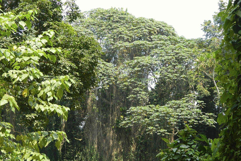 From Kampala: 2-Day Sipi Falls and Mount Elgon Tour