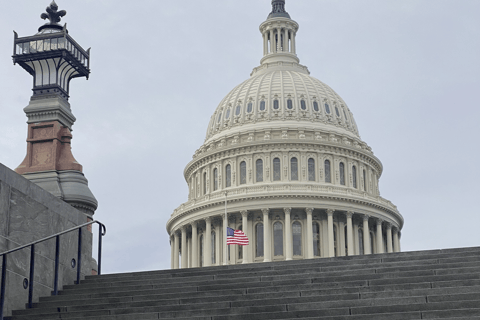 Skip-The-Line National Archives, and Capitol Hill Tour