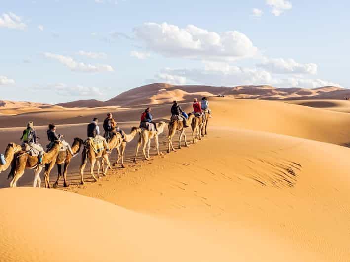 Ouarzazate : kasbahs, gorges et excursion dans le désert de Merzouga - 2 jours - dromadaire