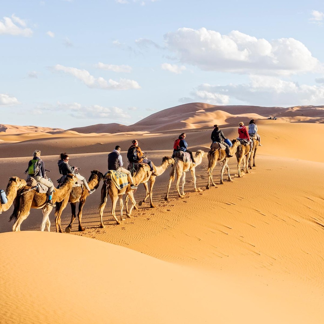 Ouarzazate : kasbahs, gorges et excursion dans le désert de Merzouga - 2 jours - dromadaire
