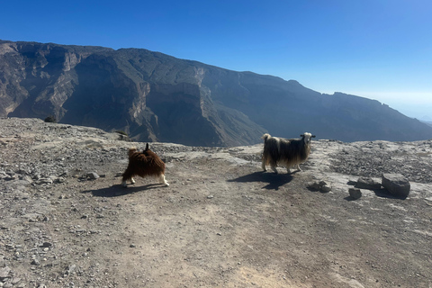 Mascate: Traslado en 4x4 a/desde Wahiba Sands, Jabal Shams o ...