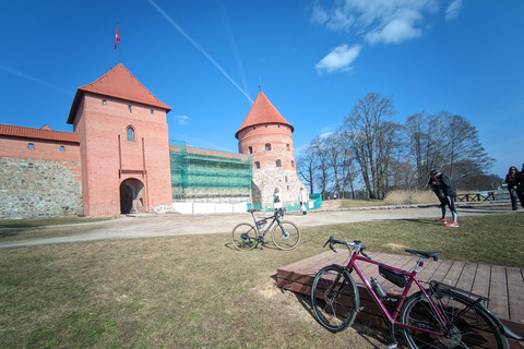 Vilnius: Customizable Bicycle or Walking Tour