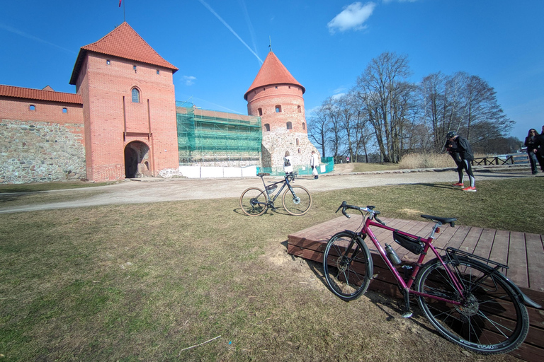 Vilnius: Customizable Bicycle or Walking Tour