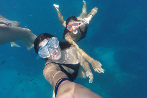 Palma de Mallorca: SmallGroup Tour by Locals in Hidden Coves