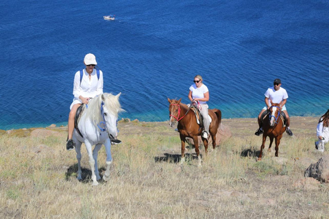 Bodrum: Horse Riding Experience with Forest and Beach