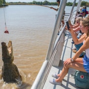 Jumping Crocodile Cruise from Darwin Half-Day Scenic Trip
