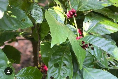 Spice Farm, Stone Town, Prison & Nakupenda+pick up+entry fee