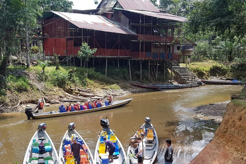 Cuyabeno: Amazon Adventure with Pink Dolphins, Wildlife, and the Siona Community Cuyabeno: Amazon Adventure with Pink Dolphins, Fauna and Flora, and the Siona Community