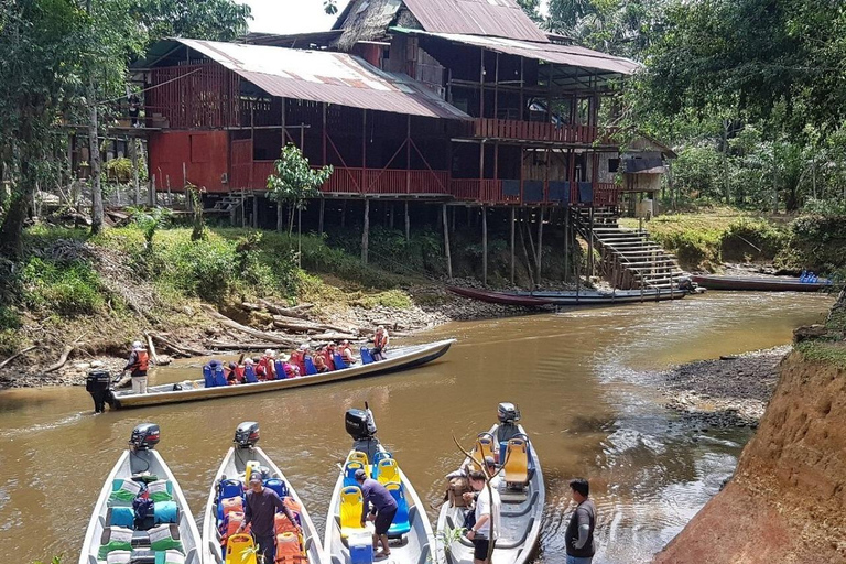 Cuyabeno: Amazon Adventure with Pink Dolphins, Wildlife, and the Siona Community Cuyabeno: Amazon Adventure with Pink Dolphins, Fauna and Flora, and the Siona Community
