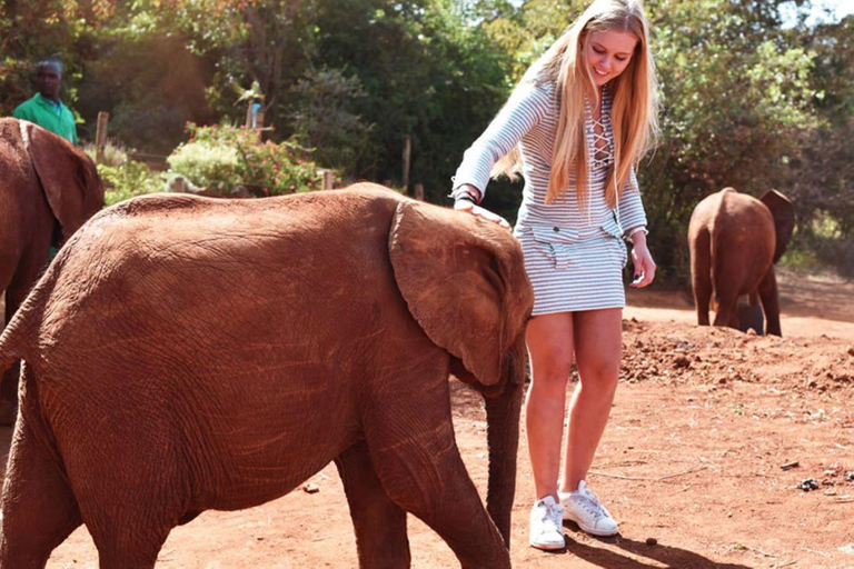 Nairobi nationalpark David Sheldrick Giraffcenter