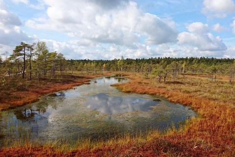 Paysages lettons : Visite guidée de Kemeri et Jurmala