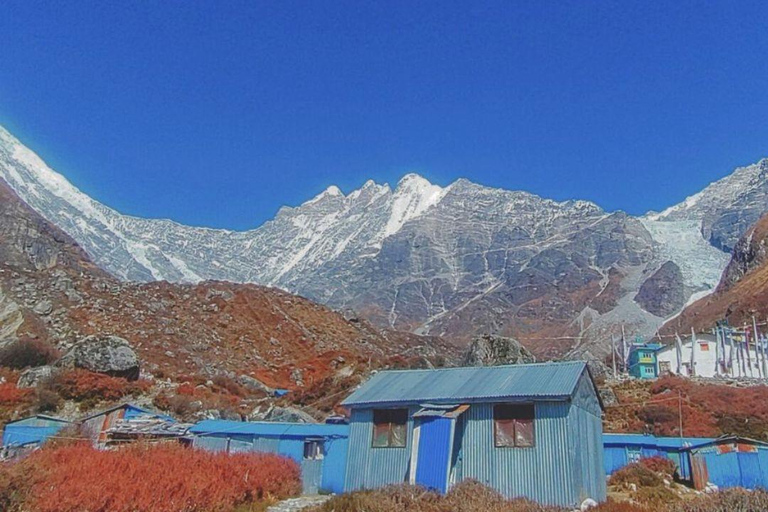 8日朗塘谷地徒步之旅（初级路线）8天朗塘谷地徒步之旅（初级者适用）