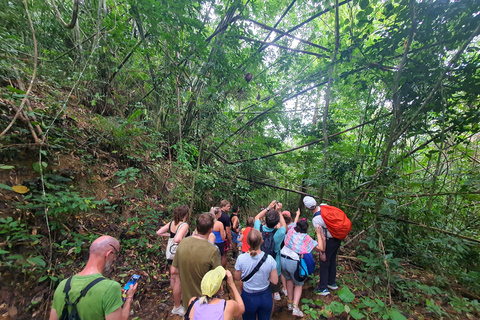 Khao Sok: Overnight Raft House Cheow Lan Lake & Coral Cave Option 1: Join Trip Raft House with Fan & *Shared Bathroom