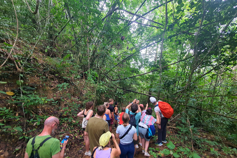 Khao Sok: Overnight Raft House Cheow Lan Lake & Coral Cave Option 1: Join Trip Raft House with Fan & *Shared Bathroom