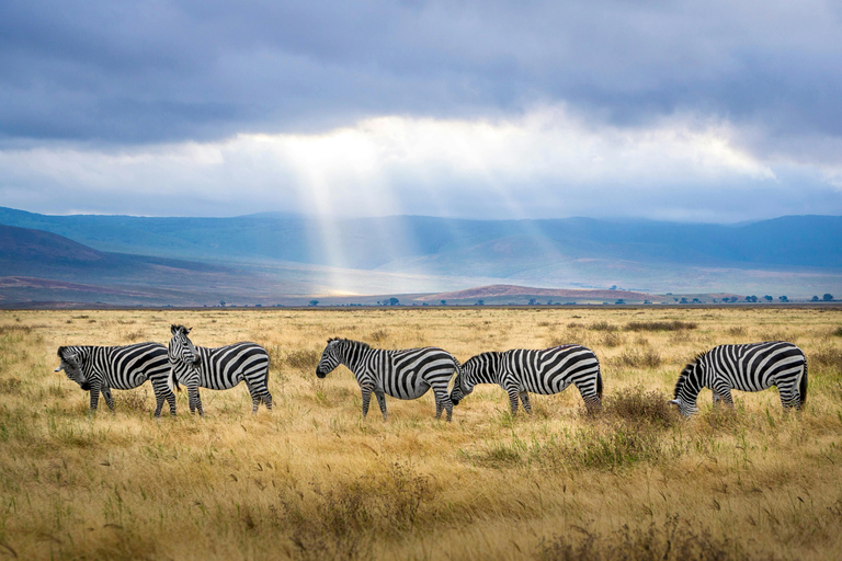 4-Day Shared Safari Experience Tanzania Northern Route