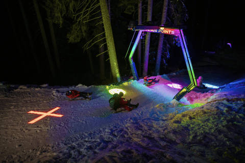 From Zurich: Alpine Mario Kart Light Ride — Snow & Stars