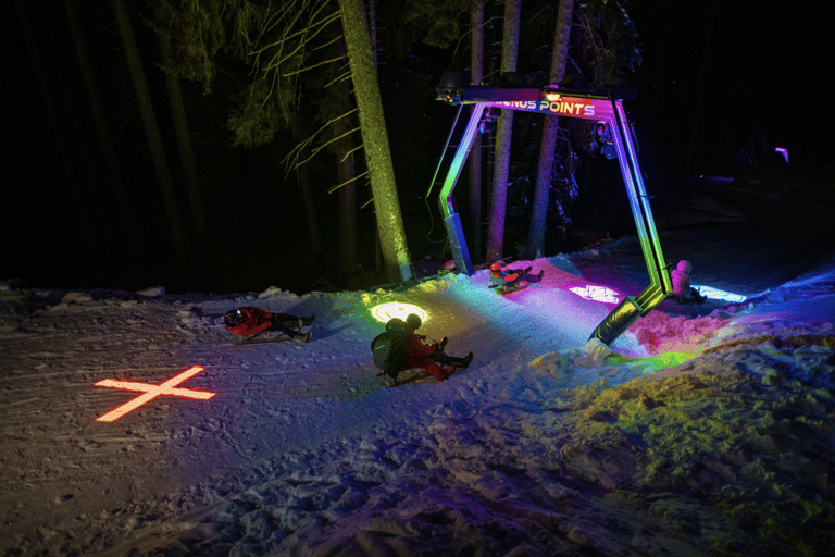 From Zurich: Alpine Mario Kart Light Ride — Snow & Stars
