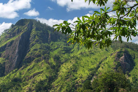 Sri Lanka: 15-dagars Grand Tour med semestertid