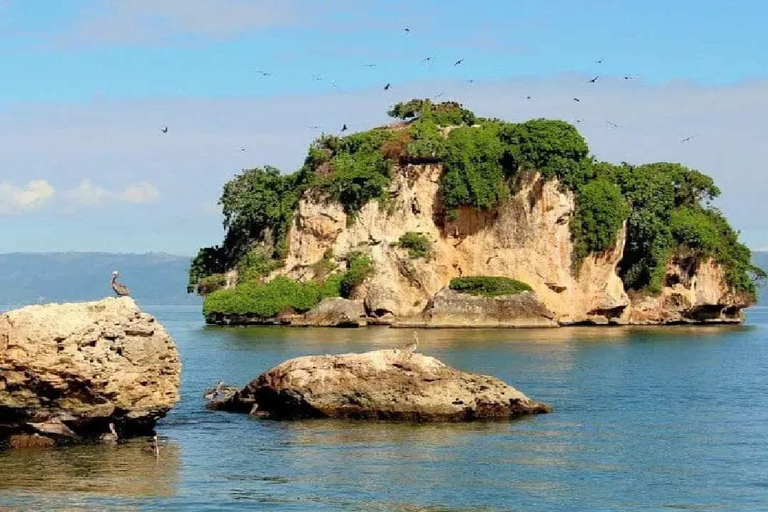 Private: Samaná Bay, El Limón, & Cayo Levantado Tour