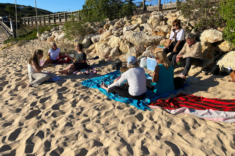 De Lagos: 5 horas de passeio pela costa algarvia com guiaO melhor do Oeste - Um passeio completo pela costa algarvia