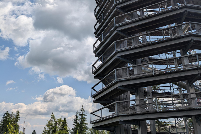 from Zakopane: Treetop Walk and Štrbské Pleso Trip