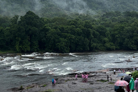 De Kochi: Viagem de 1 dia às cascatas de Athirappilly com transferes